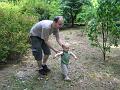 Arboretum 14